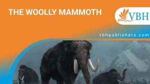 Woolly Mammoth Story