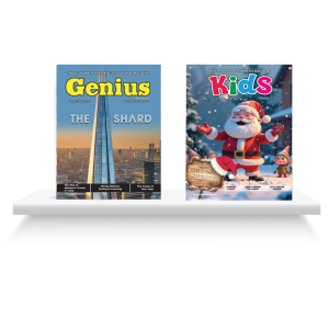 Kids Punnagai + Genius Punnagai Combo